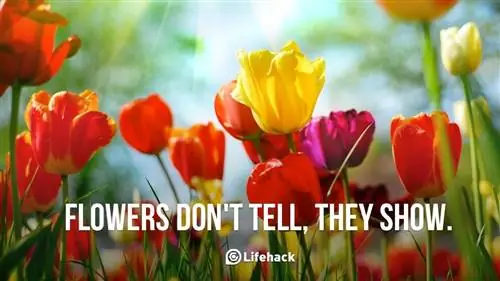 Как покупать и расставлять цветы как эксперт