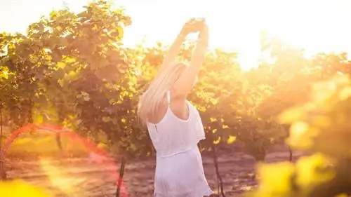 8 мощных установок, которые помогут воплотить ваши мечты