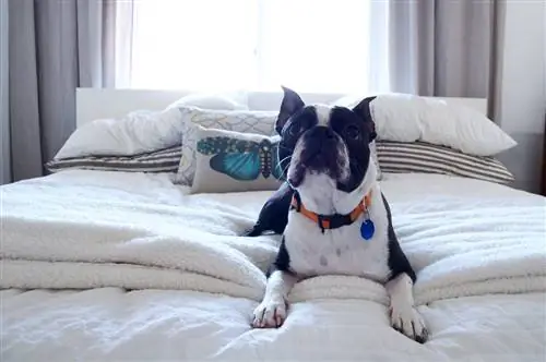 4 способа выйти из зоны комфорта и достичь невозможного