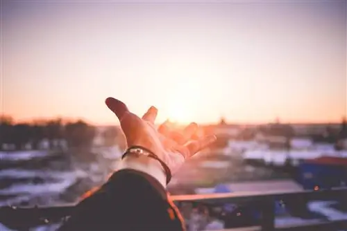 Закон обратных усилий