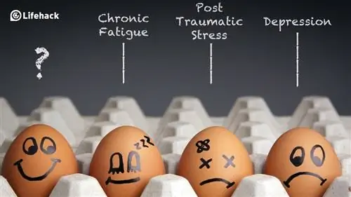 Обратный отсчет 10 самых странных профессий в мире