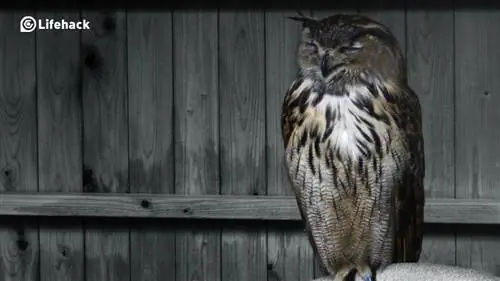 20 вдохновляющих высказываний для роста и личного понимания