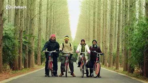 5 причин, по которым вам может подойти «Stay-cation»