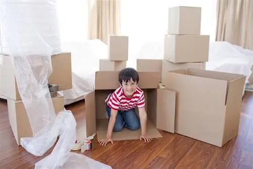 8 быстрых советов, как сделать семейный переезд без стресса