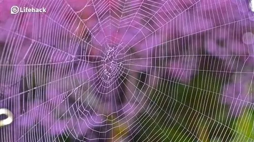 3 простых способа получить доступ к заблокированным сайтам