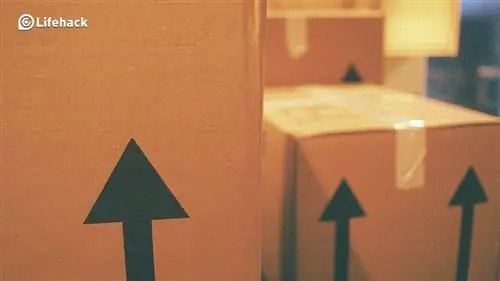 Мастер-классы по переезду: 15 советов, как оставаться в здравом уме