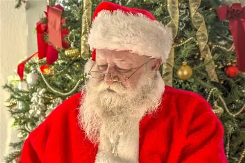 Как пережить праздники