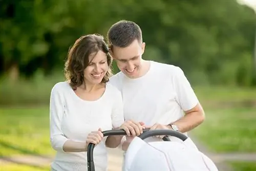 Как выбрать идеальную коляску для путешествий в праздничный сезон