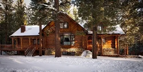 6 шагов к экологически чистой зиме (и способы сэкономить деньги)