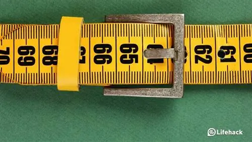 5 причин перестать считать калории