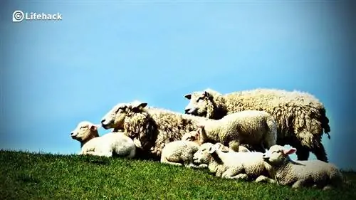 Десять ошибок родителей, которые могут негативно сказаться на будущем ребенка