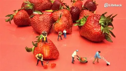 Как доминировать с целенаправленным рабочим днем