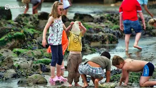 3 лжи, которые вам говорили в детстве