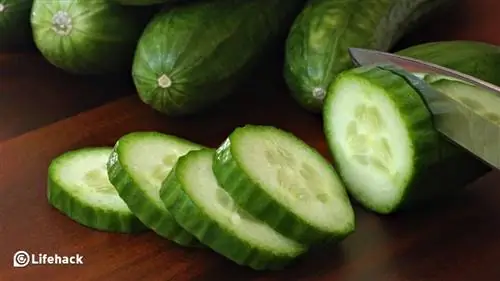 10 удивительных полезных свойств огурцов, о которых вы могли не знать