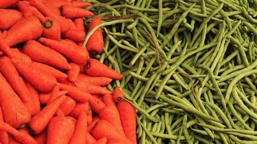 Почему клетчатка так важна и как получить ее в достаточном количестве