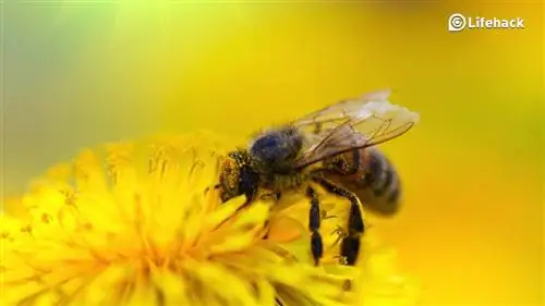 10 простых способов удвоить продуктивность