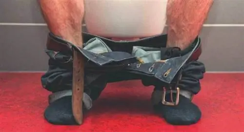 Геморрой: факты, причины и лечение