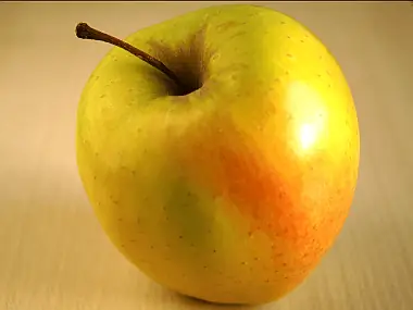 Совет для студентов: используйте вики для лучшего ведения заметок