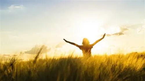 Реальные примеры использования эвристик против нас