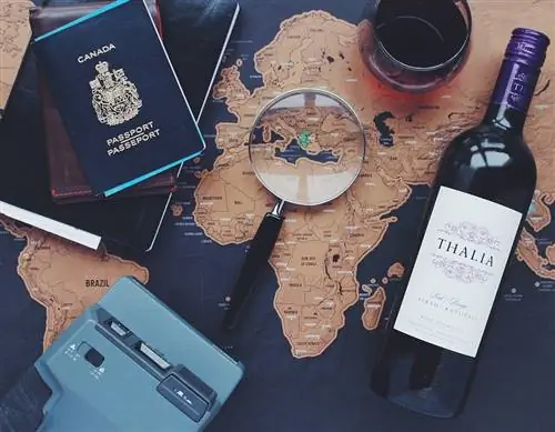 Если вы начнете чаще путешествовать, вы сможете развить свой мозг