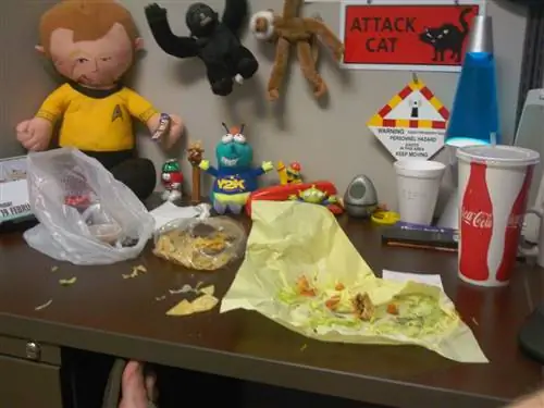 Правила приличия на рабочем месте