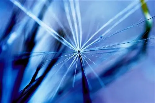 Нанотехнологии: следующий рубеж, бизнес и мировой рынок стоматологии?