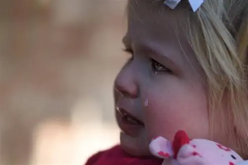 5 причин, почему вы должны благодарить своего ребенка за его истерики