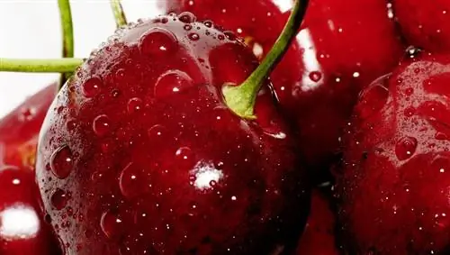 10 продуктов, которые борются с болью