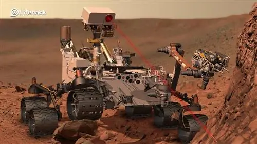 Любопытство: причины, по которым оно должно быть у вас