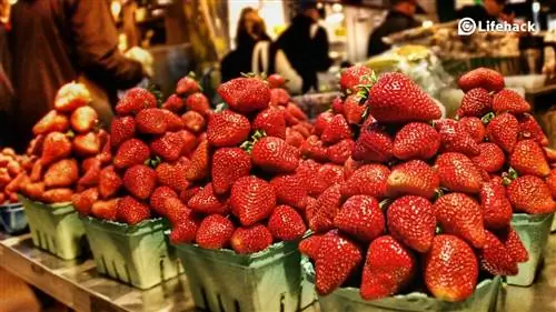 Диеты не работают: почему «как быстро похудеть» - неправильный вопрос