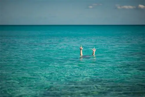 5 секретов получения максимальной отдачи от отпуска