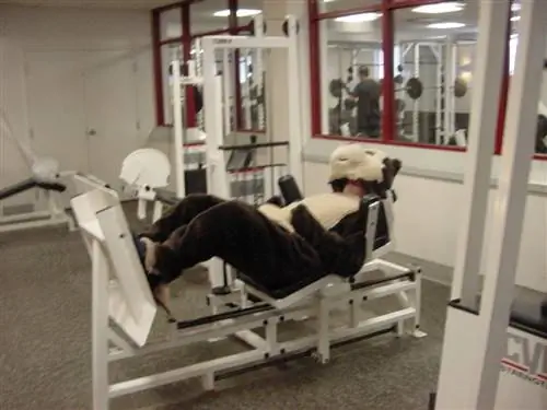 7 причин, по которым вы сдерживаете свой прогресс в тренажерном зале