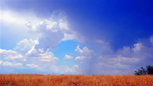 Вот как вы можете стать лучшим и блистать в этом году