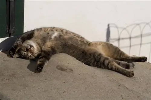 10 вещей, на которые нужно обратить внимание, чтобы быстрее заснуть