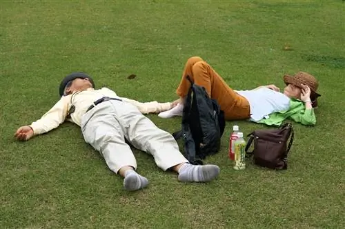 24 полезных занятия, которые 50-летние должны делать в свободное время