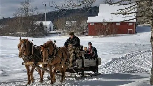 40 забавных зимних развлечений, которые вы можете попробовать прямо сейчас