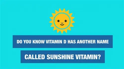 Эти 7 продуктов содержат намного больше витамина D, чем вы думаете