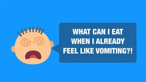 Облегчение болезни: 10 лучших продуктов, которые можно есть, когда вас тошнит