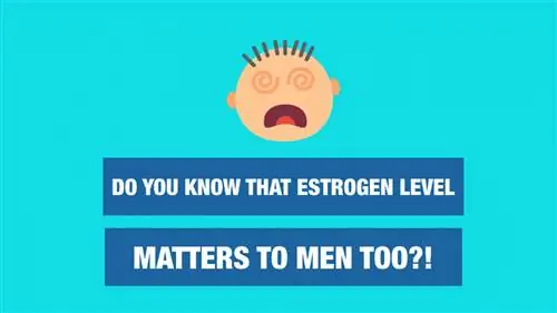 Топ-10 продуктов, богатых эстрогеном, которые вам нужны или за которыми нужно следить