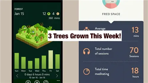 Приложения не всегда отвлекают. Эти 10 приложений действительно помогут вам сосредоточиться