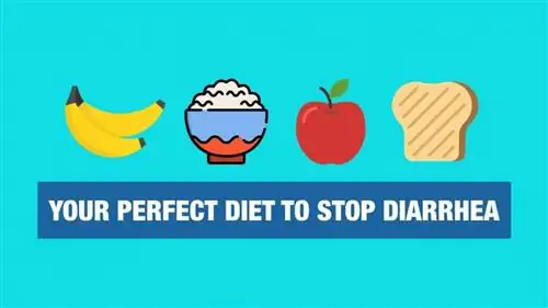 Диета BRAT: как это работает и 10 продуктов, которые останавливают диарею