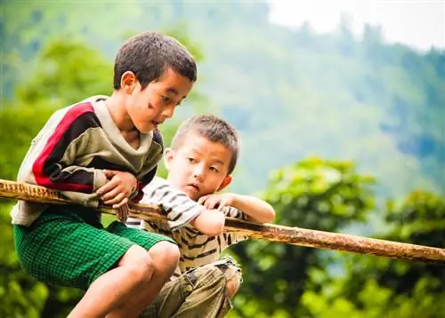 Если вы до сих пор не знаете этих жизненных истин, вы, вероятно, недостаточно узнали от жизни