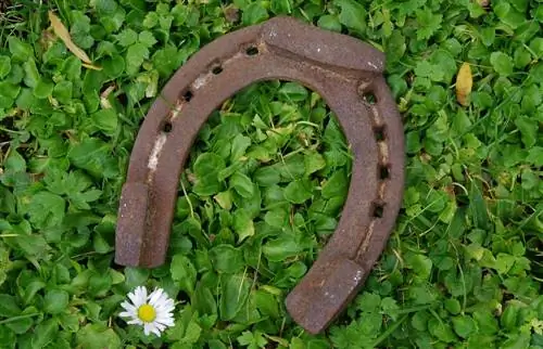 Как создать удачу в повседневной жизни