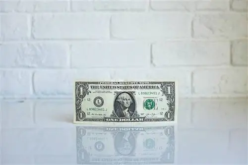 Вот как молодые люди могут разбогатеть