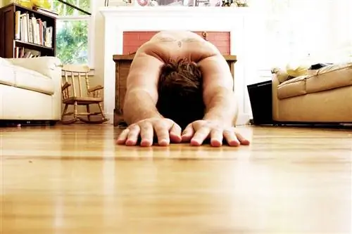 15 простых, но эффективных упражнений для спины, которые облегчат скованность и боль в пояснице