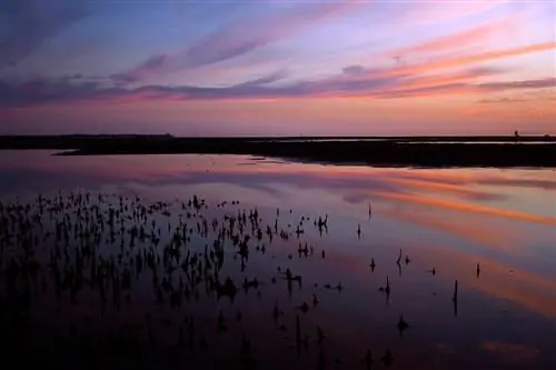 10 удивительно простых способов быть счастливым каждый день