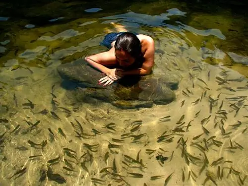 15 способов стать выдающейся личностью