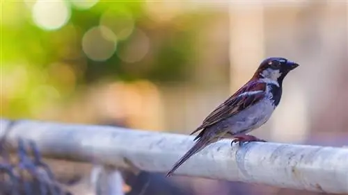 10 вещей, за которые мы можем быть благодарны, какими бы трудными они ни были