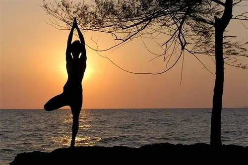 Как выработать хорошие привычки