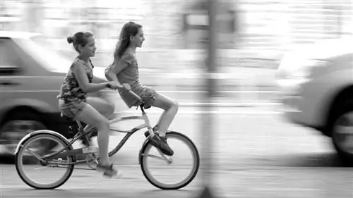 Вы снимаете поводок и позволяете ребенку свободно играть?